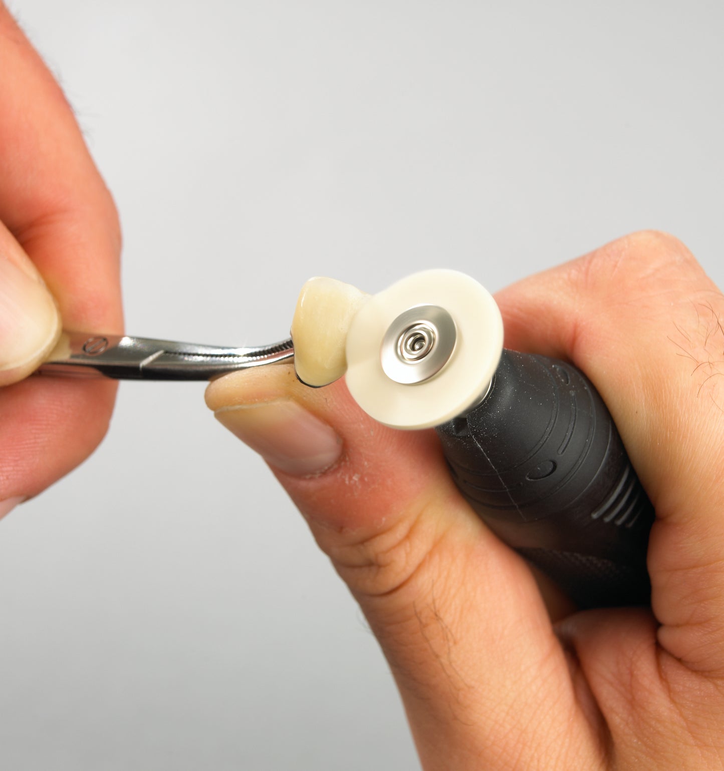 RENFERT - Goat Hair Polishing Brush
