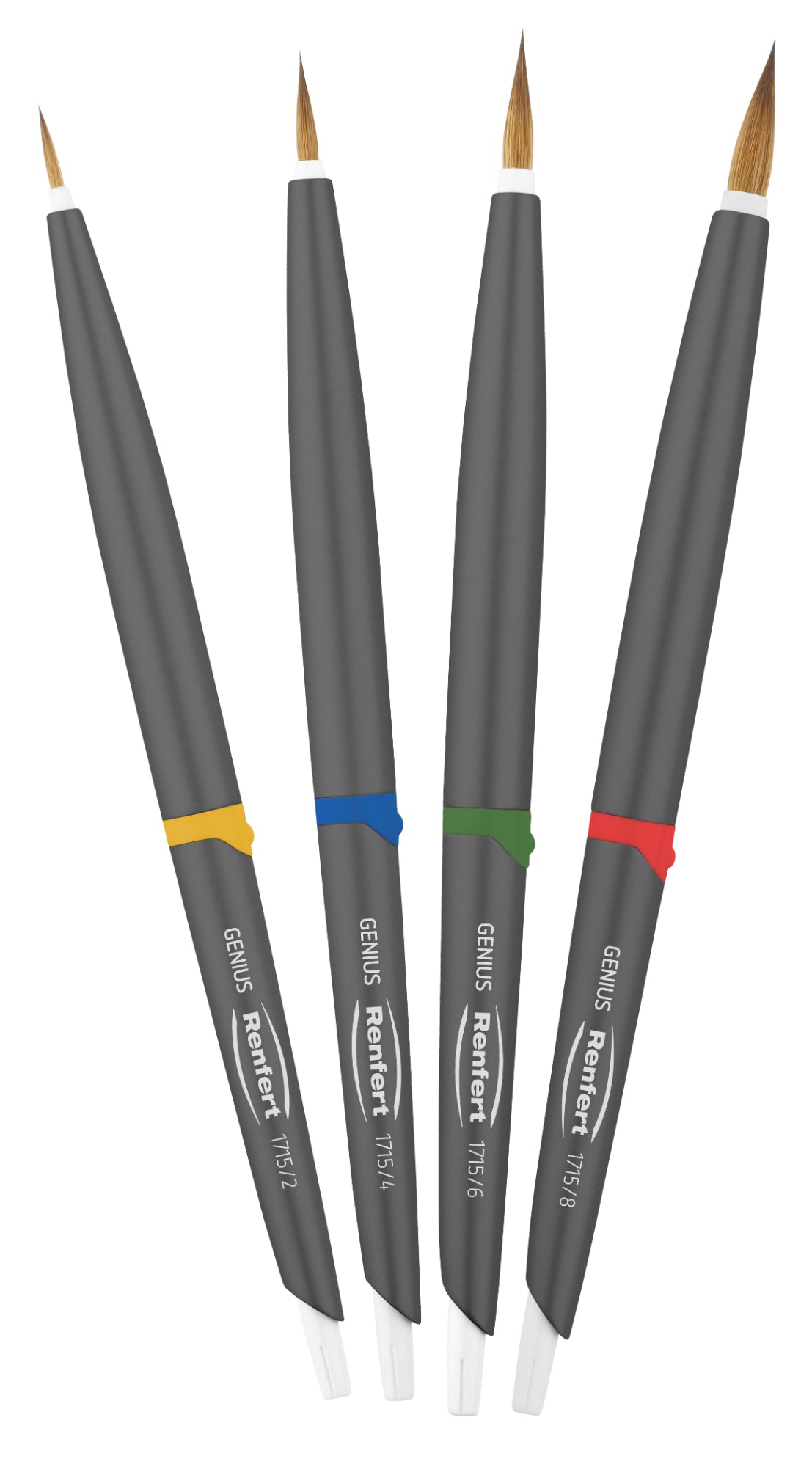 RENFERT - Genius Natural Bristle Brushes